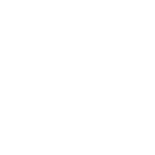A white Florida state icon.