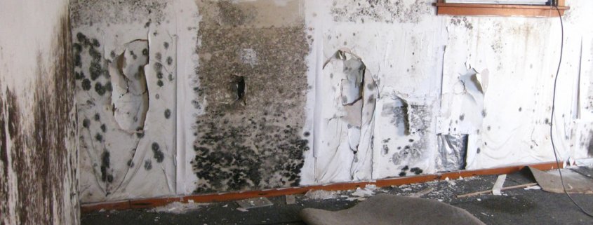 A florida house with mold on the walls and floor with an open window.